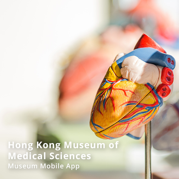 Hong Kong Museum of Medical Science － Museum Mobile App