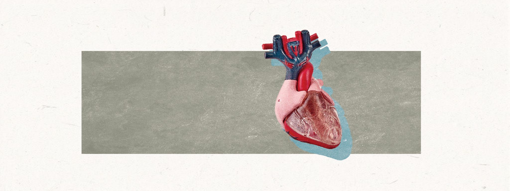 【3D打印連心臟都可以印到？】
